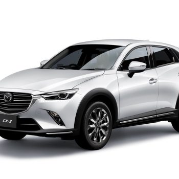 ZenEcho Water Fountains