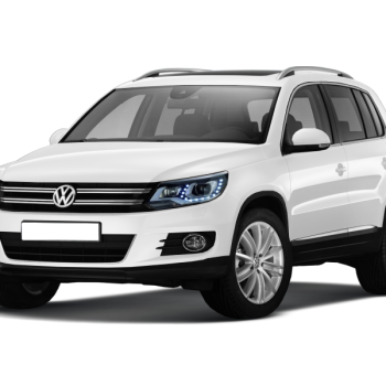 ZenRays Custom Flower Pots